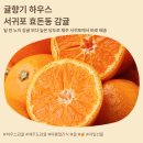 레이니하우스