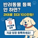 반려안