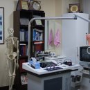 일동튼튼의원 이미지