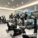 코코아짐 | [범일동 헬스장 추천] 400평 규모, 트레이너 실력,회원후기까지! 코코아짐 범일점 완벽리뷰