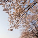 철산동 광성초등학교 앞 이미지