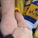 샾 플러스 | K리그1 7R 인천유나이티드 VS 울산HD FC 원정 직관후기(주차꿀팁, 원정좌석 시야, 맛집추천)_인천축구...