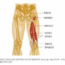 행스트링에 대해 알아보세요... 이미지