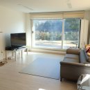 양평애견호텔 이미지