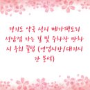 모란시민약국 | 경기도 약국 성지 메가팩토리 성남점 가는 길 및 주차장 만차 시 우회 꿀팁 (영업시간/대기시간 분석)