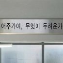 지에스 더프레시 판교운중점 | 직장인 일상 블로그 애주가여, 무엇이 두려운가