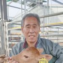 계림농장 이미지