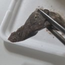 댕자분식 네이버블로그