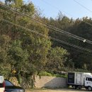 대성마트 | 미트밀리 대성피앤비직판장 가산 본점 / 가격 좋은 한돈 오겹살 구매 후기