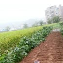 성하축산 네이버블로그