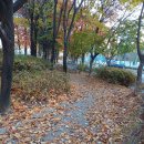 지난주 구도법회 140분 동참/토요집회금지 가처분 사건 및 지정스님 위증사건 재판 건/도영 스님 입적/(11/23.법회장 현안보고) 이미지