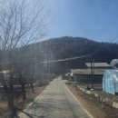 관성1리 이미지