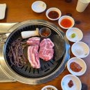 영진카서비스 | 2025.11.23~24(월~화) 🎅부산여행🎄