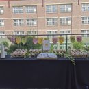 가양초등학교 병설유치원 이미지