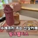 핑크팰리스 | [경기,안산] 음료 주문시 수제쿠키 주는 핑크팰리스