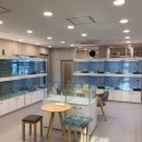 캣파라다이스 일산점 이미지