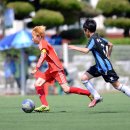 두룡초등학교 이미지