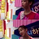 보니하니