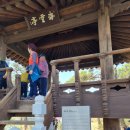 섬진강 솔밭이 보이는 풍경 이미지