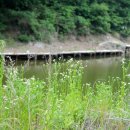 관광농원낚시터 이미지