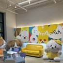 벌말로50번길 | [분당 브런치 카페 추천] 넓은 주차공간 애견동반 가능 카페 지지 후기