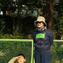 신정여상 이미지