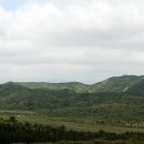 선흘리에 이미지