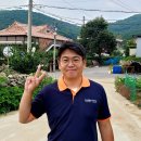 금릉중학교 | 조류충돌방지스티커 테이프 금릉중학교 설치현장