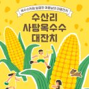 수산리-6 | 제주 축제 추천 : '2026 제주 마라콘 CORN' 현장 예매 오픈런 및 10kg 코스 생생후기