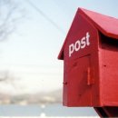 우체국 이팝나무 이미지