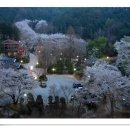 고향산장 이미지