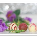 주식회사삼보판지 이미지