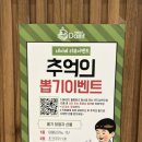 담트 이미지