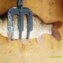 노온사동 403-3 이미지