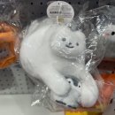 양재사랑약국 | [2026] 1월 첫째주: 음주운전과 교촌치킨사건, 배드민턴 자체대회, 귀여운 강아지, 청하와 막걸리