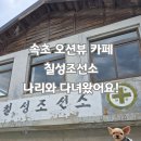 (주)나리소프트 | 속초 가볼만한 곳 애견동반카페 칠성조선소 동그란책