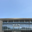 [2박3일 부산여행 day-1] 해운대 요트투어, 동백섬, 웨이팅 맛집(톤쇼우, 해성막창) 내돈내산 후기