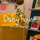 데이지하우스 이미지