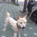 공덕119안전센터 이미지