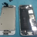 맥앤아이 코리아 이미지