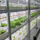 대전도시철도공사 대전역 이미지