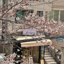 모아미뇽