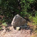 대전해수욕장3 이미지