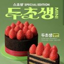 투썸 플레이스 - 장흥군 | 투썸 플레이스