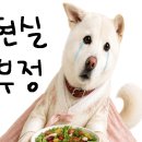 빽다방대구 - 중구 대봉로 222 | 빽다방대구