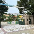 양영초교 앞 이미지