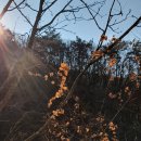 윤혜리정신건강의학과의원 이미지