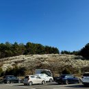 유수정농장 이미지