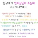 테스타 이미지