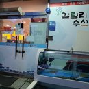 서정로 네이버블로그